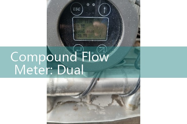 Compound Flow Meter: Dual Mechanical Dial Utility Sizers for Varying Demand